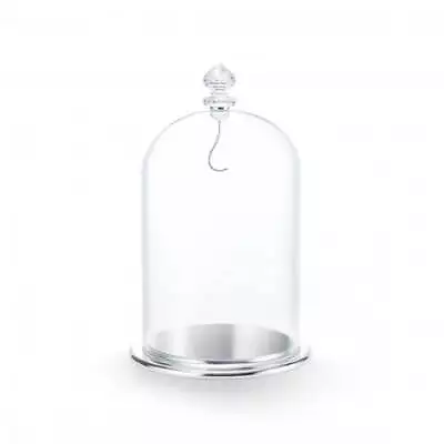 Buy White Bell Jar Display Large Crystal Ornament 5527606 • 85£