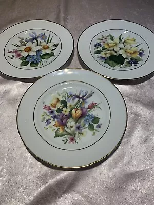 Buy Staffordshire Bone Chine Decorative Plate • 10£