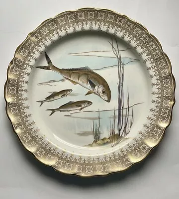 Buy Vintage Royal Worcester Vitreous Fish Plate~ Decorative Scalloped Gold Rim W3503 • 16.23£