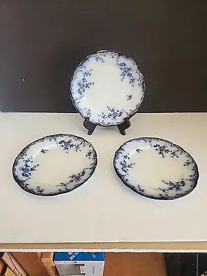 Buy 3 Antique Flow Blue China Plate 8  Ridgeway Chiswick   295284 • 43.16£