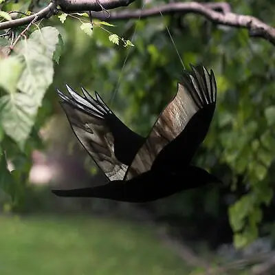 Buy Raven Glass Window Hangings Gothic Acrylic Birds Lover Gift • 12.31£