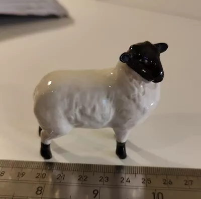 Buy Beswick Lamb Sheep Black Faced Porcelain Animal 1828 Gloss Finish  • 5£