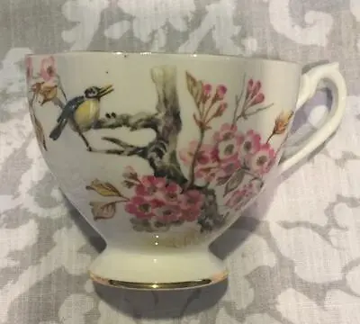 Buy Queen Anne Fine Bone China  Coffee/tea Cup Made In England Excellent Condition ! • 14.19£