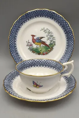 Buy Antique Copeland Spode China Exotic Birds , Butterflies & Insects Trio (#2) • 15£