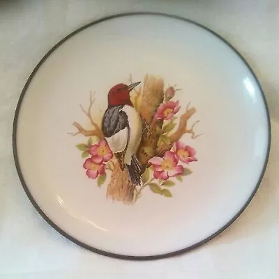 Buy Hornsea Lancaster Vitramic Round Plate 11cm Bird Woodpecker • 10£