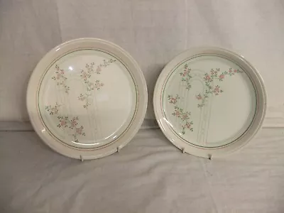 Buy Biltons Pottery - Rose Trellis - Pink & Green - Vintage Tableware - R5 • 6.93£