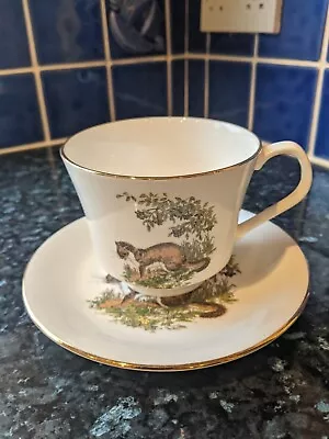 Buy Elizabethan Staffordshire Otter Teacup And Saucer Fine Bone China • 15£