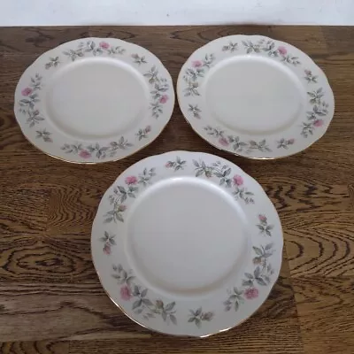 Buy Duchess BRAMBLE ROSE Plates Bone China Set Of 3 Dinner 10.25  • 15.29£