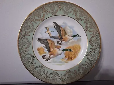 Buy W H Grindley (Staffordshire) - 'Geese Flying' Dinner Plate 10” 25cm FREE POSTAGE • 8.50£