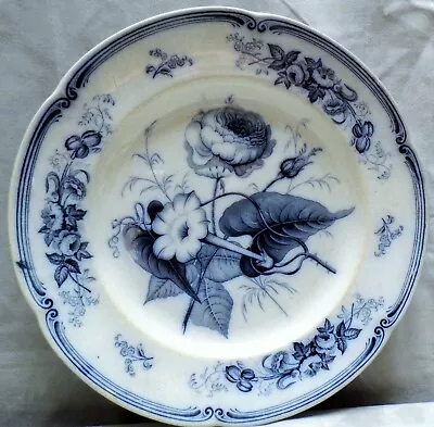 Buy Plate Ridgway & Morley Circa 1842 VERONA Pattern Rare Blue White Antique  B45C • 11.99£