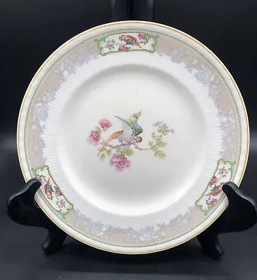 Buy Antique Myott Son & Co England Dinner Plate Windermere 1751 Birds Paradise • 18.07£