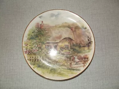 Buy Staffordshire Fine Bone China - Plate - Blue Waters Of England Series • 7.60£
