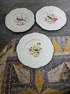 Buy Royal Cauldon Bird Plates • 10£