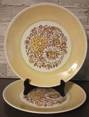 Buy Taylor Smith &Taylor 2 Nosegay 10.25” Dinner Plates 1968  Taylor Ironstone • 12.46£