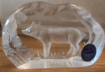 Buy Dartington Crystal Glass Wild Boar Walt Hog  Paperweight Signed A.Capredoni • 9.95£