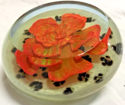 Buy Caithness Glass Paperweight Glamour Puss Limited Edition 44/250 Orange Flower • 30£