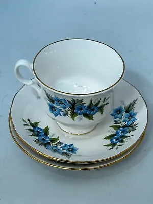 Buy Queen Anne Blue Floral Bone China Teacup & 2 Saucers Decorative Set #LH • 2.99£