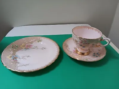 Buy Tuscan Fine English Bone China Tea Cup Saucer And Plate Pink Floral • 15£