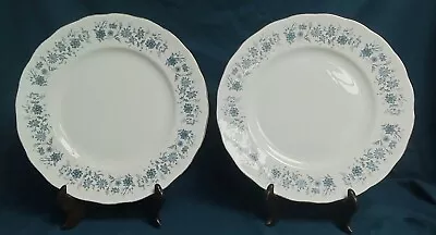 Buy Colclough Braganza  Pair Of Dinner Plates  - 10 3/4 Inch • 14.95£