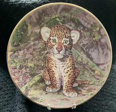 Buy Royal Stafford   Jungle Prince   Leopard Cub Limited Edition No 372I   Mint • 8.99£