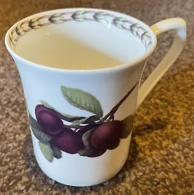 Buy Queens RHS Hookers Fruit Mug, Plum Design Excellent Condition • 10£