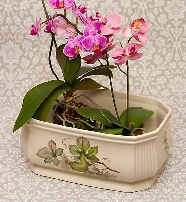 Buy Royal Winton Ivy Leaf Pottery Trough Planter Rectangular Plant Pot Holder • 25£
