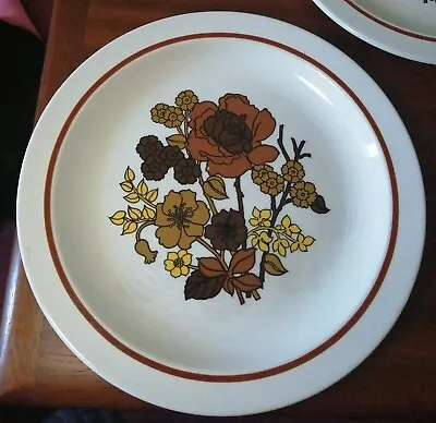 Buy Two Midwinter Roselane Floral Side Bread Plate Mcm Vintage Brown 60s 70s Retro • 17.50£