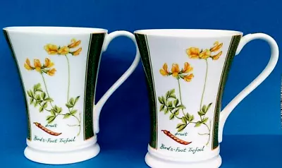 Buy Crown Trent Fine Bone China ~ Pair Of Botanical Footed Mugs ~ Birds Foot Trefoil • 5.99£