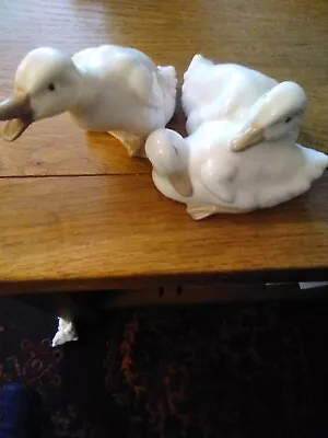 Buy Nao Lladro Figurines Ducks X 2 • 9.50£