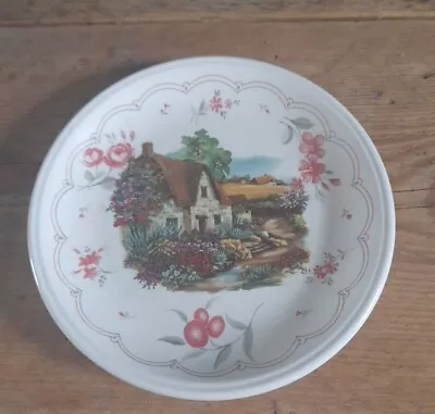 Buy Staffordshire Tableware Collectors Decorative Plate • 1.50£