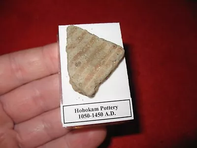 Buy Hohokam Extinct Tribe Indian Pottery Shard 800 Yrs Old Arizona Display Case #2 • 10£