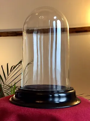 Buy Vintage Glass Cloche Bell Jar Dome,Wood Base,Old Antiques Curios Feature Display • 13.50£