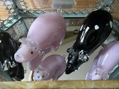 Buy LANGHAM GLASS CRYSTAL  PIG COLLECTION X  FIVE Boar Sow & 3 Piglets With Boxes • 199£