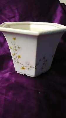 Buy Royal Winton Pottery Floral Planter 8 ×6.5   Hexagonal Cream & Gold • 5£