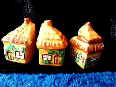 Buy Vintage Cottage Ware Salt&Pepper Mustard Set Collectible Ceramic Pottery • 12.60£