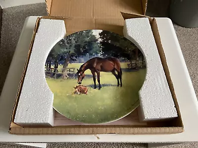 Buy Coalport 8  Limited Edition #1294A China Horse Plate - A Foal Of Her Own • 10£