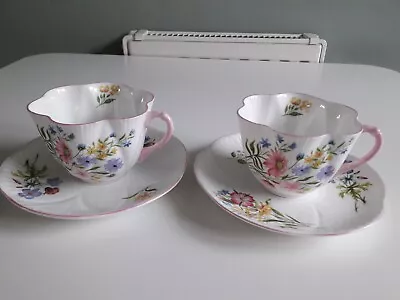 Buy Pair Of Shelley Fine Bone China 'Wild Flowers' Cups & Saucers Pink Trim -c.1950 • 18£