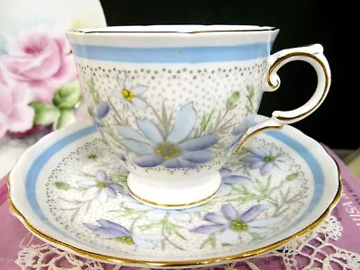 Buy TUSCAN Tea Cup And Saucer Floral Painted Chintz Pattern Teacup Daisy England 40s • 30.65£