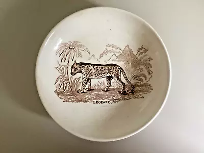 Buy Pretty Leopard Nursery Ware Saucer Dish, Circa 1830 • 75£
