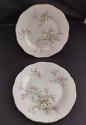 Buy Vintage Queen's Rosina, Regal Heritage Bone China Floral Spray 6.25  Side Plates • 9.99£