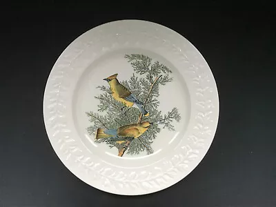 Buy Audubon Birds Of America Dinner Plates By Adams 10.5  - 7, Available Separately • 9£