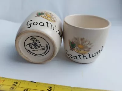 Buy New Devon Pottery- Goathland ( Heartbeat Village) Egg Cups X 2 Newton Abbot Used • 5.50£