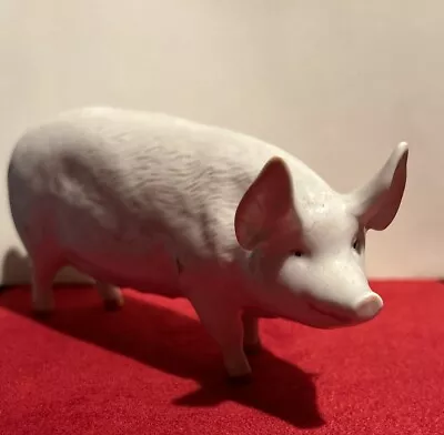 Buy Beswick Pig Sow Figurine 'CH Wall Queen 40' - Gloss Finish • 10£