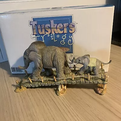 Buy Tuskers Elephant Ornament, Keepin Up 91092, On Safari Trilogy, Limited Edition • 34.95£