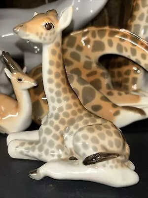 Buy VTG Giraffe Baby Foal  Lomonosov Made In Russia Porcelain Figurine Animal • 27.72£