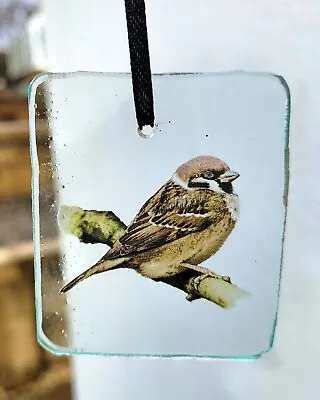 Buy Stained Glass Sparrow Bird Suncatcher Kiln Fired 6 Cm X 5 Cm Approx Birds • 20£