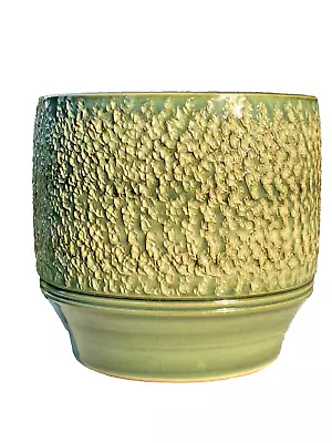 Buy Vintage Denby Green Bracken Stoneware Planter Plant Pot Flower Vase Holder • 24.99£