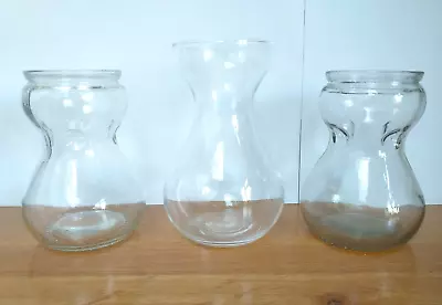 Buy 3 Vintage Clear Glass Hyacinth Bulb Forcing Vases • 18£