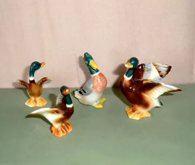 Buy Vintage Flock Of Mallard Duck Miniature Bone China Ornaments X 4 • 10£