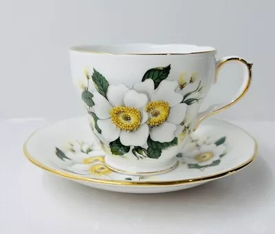 Buy Vintage Duchess Bone China Cup & Saucer Set White Begonia W/ Gold Trim • 16.40£